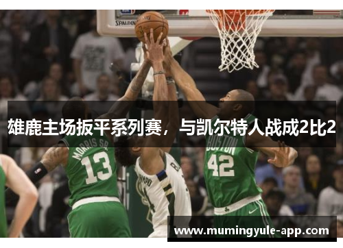 雄鹿主场扳平系列赛，与凯尔特人战成2比2