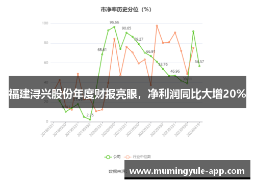 福建浔兴股份年度财报亮眼，净利润同比大增20%