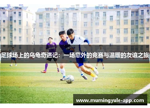 足球场上的乌龟奇遇记：一场意外的竞赛与温暖的友谊之旅